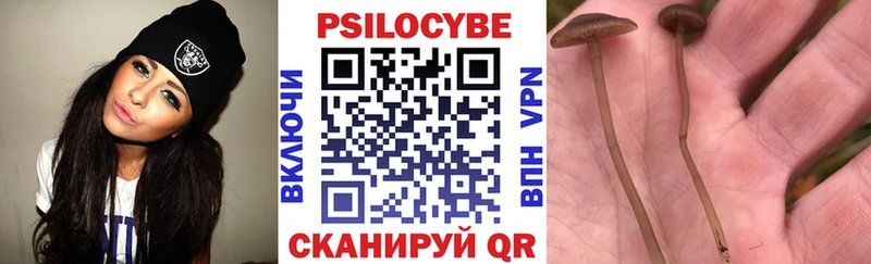 Галлюциногенные грибы Cubensis  Лениногорск 