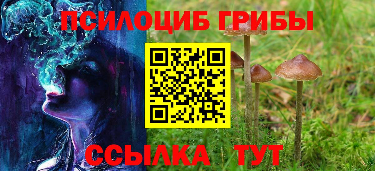 Псилоцибиновые грибы Magic Shrooms Лениногорск